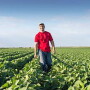 The Fertilizer Institute
