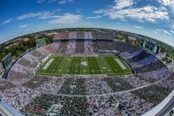 Michigan State University 