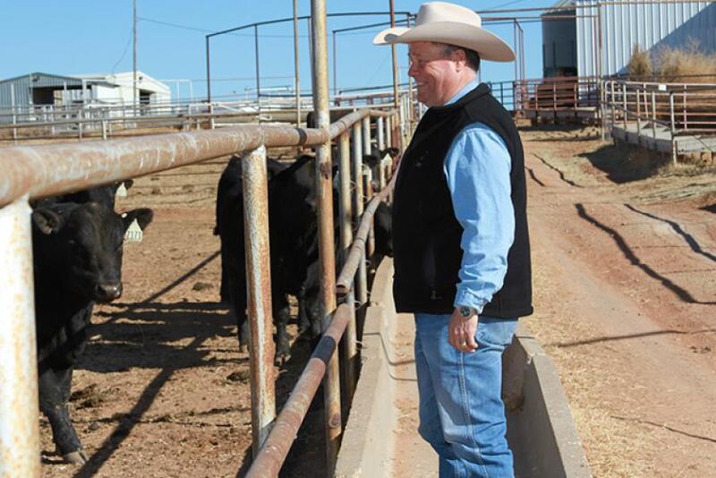 James Henderson, Bradley 3 Ranch, Memphis, Texas