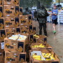 Fyffes is a sponsor of the Marine Corps Marathon. The company has implemented human rights policies throughout its business in countries it sources from.
