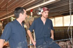 Conversation between employees on pig farm at The Maschhoffs