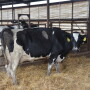 "There's been a crazy amount of technology added to farming," said Dana Allen-Tully, a manager and operator of the multigenerational Gar-Lin Dairy Farms Inc. 