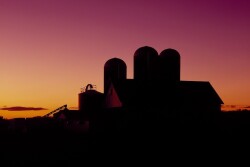 Dairy Farn Sunset_0.jpg