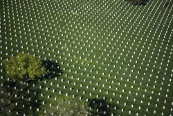 Arlington National Cemetery