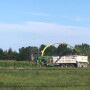 NDSU-Silage-840.jpg