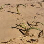 IMG-20220215-WA0103.jpg