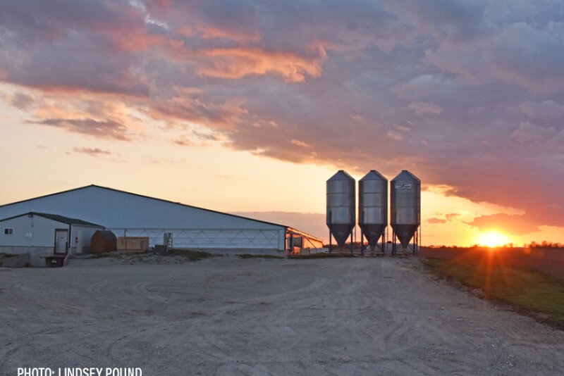 hog barn feed sunset - Lindsey Pound