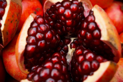 BEC95C70-39EE-491D-8E5D016CAC19383B.png