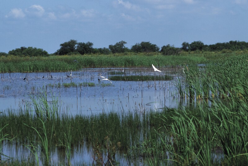 Your land has value beyond crop and livestock production.