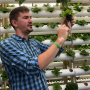 Andrew Mueth and his five brothers use aquaponics to produce lettuce that is sold at farmer's markets in the St. Louis, Mo. area.