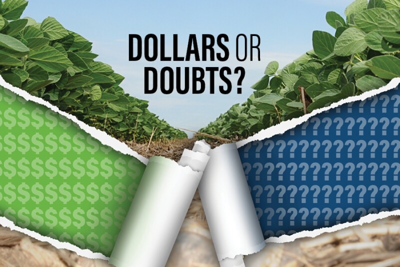 Dollars or Doubts?