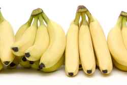 bananas-article-banner.jpg