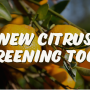 Florida citrus