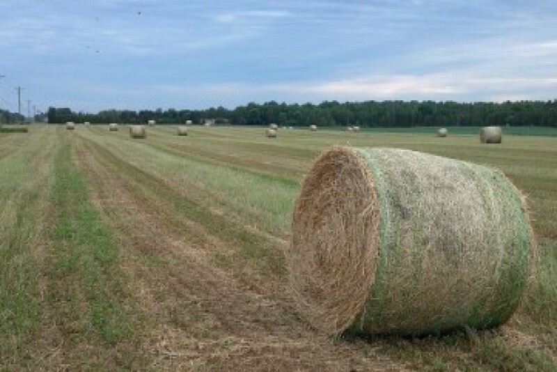 Round Bale Feeders Are Worth the Investment