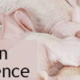 The 2019 program offers a host of invaluable swine-health topics for producers and industry professionals.