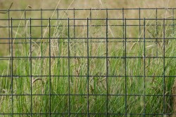 Grazing Exclosure.jpg