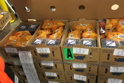Farmers to Families Food Box deliveries have started across the U.S.