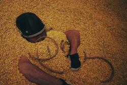 Buried_Alive_2