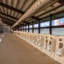When building or remodeling a calf facility, there are five key factors every producer needs to keep in mind.
