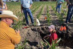 Dry conditions in some parts of the Midwest are putting a strain on yield potential early this season. But some stands are thriving. Practices such as continuous covers and no-till are making the difference, says Jimmy Emmons, the author, far left.