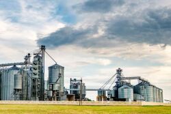 Agricultural Volatility Then and Now: Comparing 2022 to the Emerging Market Commodity Boom