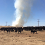 Texas Wildfires