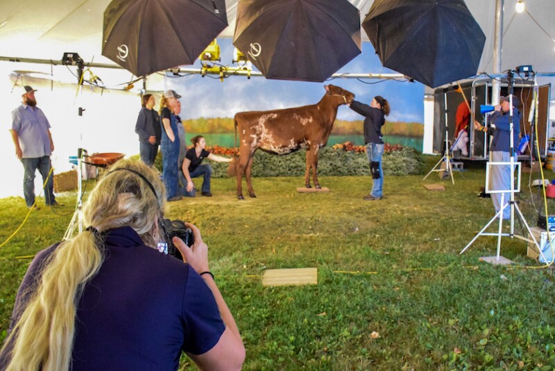 World Dairy Expo_Cybil Fisher