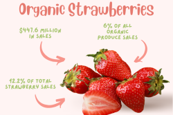 Organic Strawberries.png