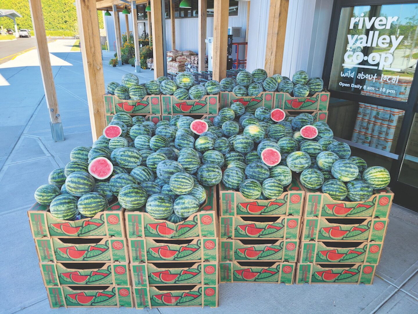 watermelons%20brian%20dey.jpeg