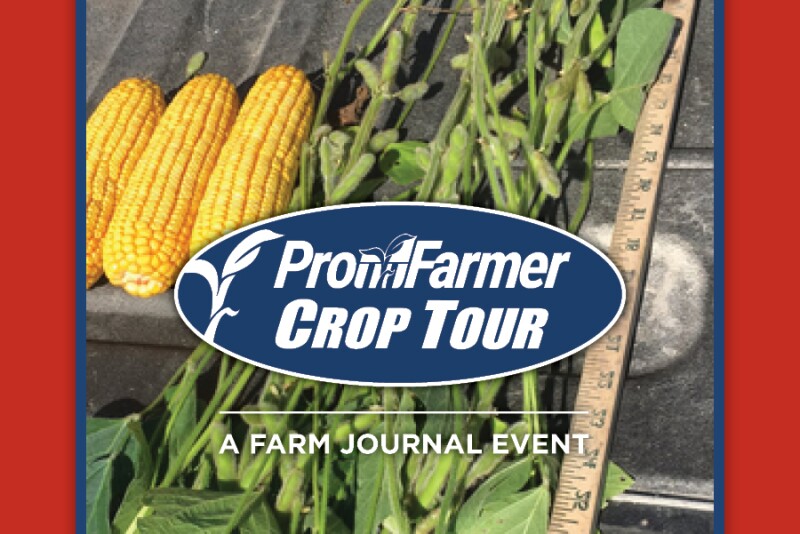 As Pro Farmer Crop Tour wrapped up this week, scouts saw inconsistency in the West and consistency in the East. With Pro Farmer's projected crop size, Brian Grete and Chip Flory discuss the demand piece of the puzzle.