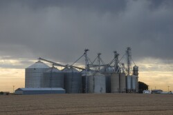 “You cannot turn away from $4 to $4.10 corn. If we get a bounce back, they're coming off of a $3.70 and change market, you better do something with that because statistics have shown us over the last five years that if you did something with $4 plus corn, it was probably your best effort.”