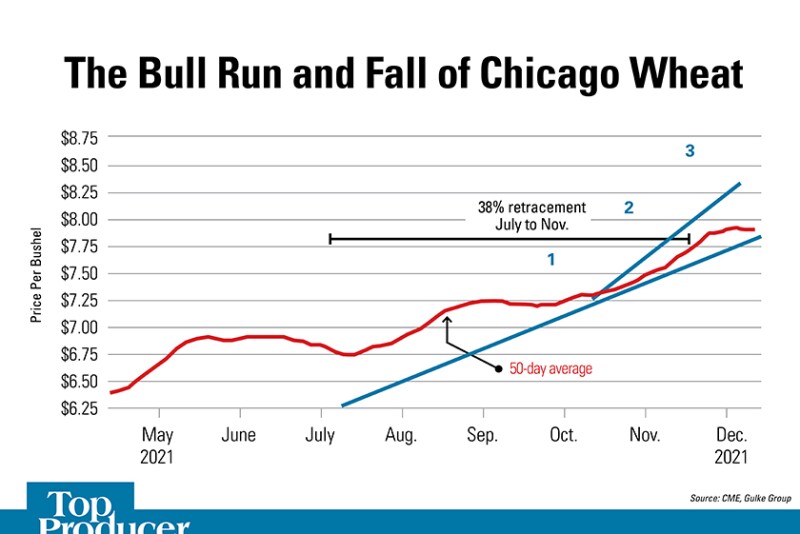 Bull Run of Wheat
