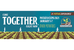 Pot Expo