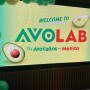 avolab