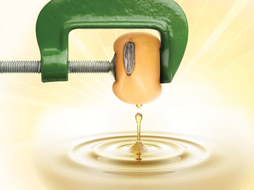 Fuel the Crush Revised.jpg