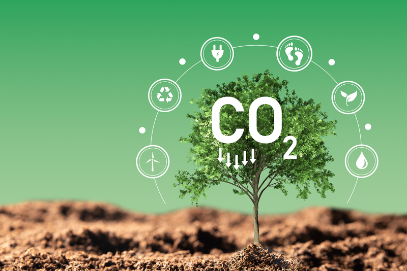 CO2 Emissions Image