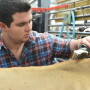 The hours leading up to one Expo’s cattle shows are filled with the quest for perfection.