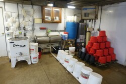 Calf Buckets 