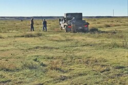 Rebuilding fence is expensive for livestock producers,  as the average repair costs $10,000 per mile.