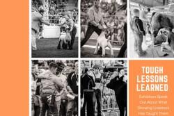 Lessons Learned from the Show Ring
