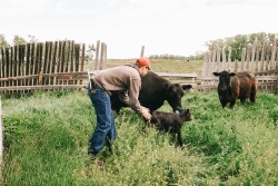 Docility proven as economically relevant trait.