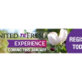 United refresh experienced.png