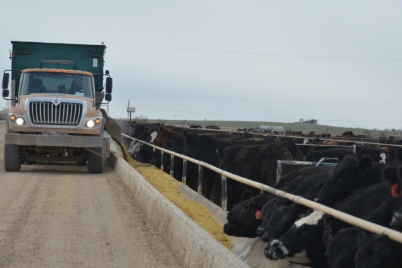 BT_Feedlot_Truck