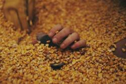 Buried_Alive