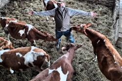 dairy farmer
