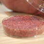 “Laboratory-grown meat will become more prevalent in the future, and this bill will proactively prevent these ‘franken-meat’ alternatives from being labeled as meat,” Gallion said at Thursday’s bill hearing.


