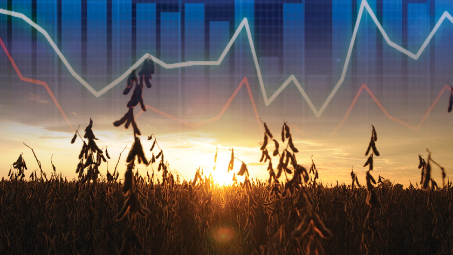 U.S. Biofuel Boom: What's Driving Record Soybean Crush, and Will It Fuel Higher Prices?