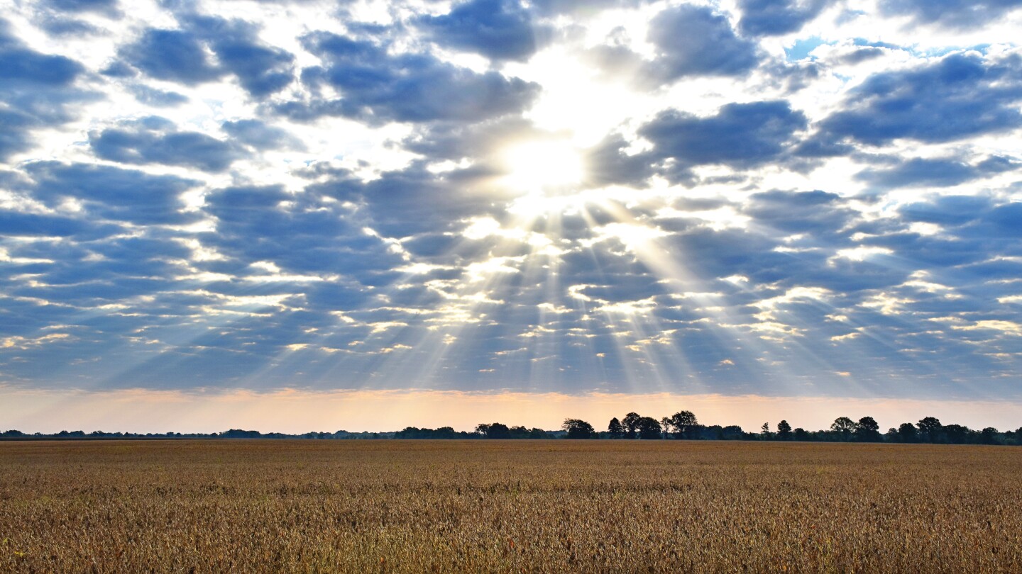 5 Key Ag Policy Changes Farmers Should Watch in 2026 - AgWeb