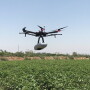 ADAMA will work with Taranis as a strategic partner in using their aerial scouting images and artificial intelligence platform. 