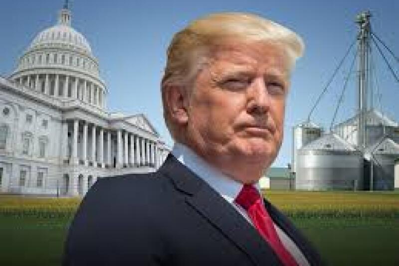 From the unpredictability with trade to easing of regulations, the past four years have been a whirlwind with farmers, ranchers and policy experts looking back at Trump Administration's impact on agriculture the past four years.